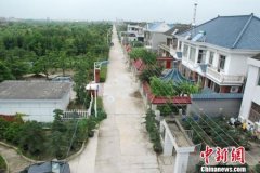 <b>探访江苏如皋特色田园乡村：处处是风景 花木富村民</b>