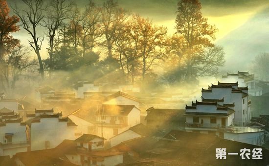 农村新政策为新时代“三农”发展指明了具体路径