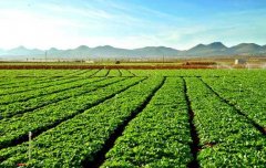 <b>安徽省四单位成农业农村信息化示范基地</b>