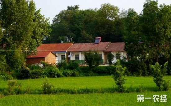 农业部农村经济研究中心举办“乡村振兴大家谈”活动