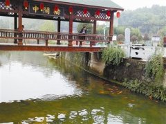 <b>杭州：临安城乡普现水清鱼跃的美景</b>