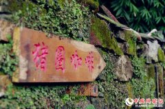 <b>第二届中国美丽乡村论坛暨第五届村政论坛嘉宾走进都江堰市参观考察</b>