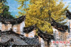 <b>广东南雄市政协献计新农村示范村创建工作</b>