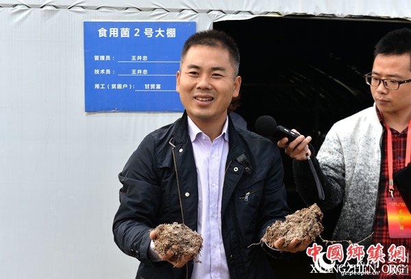 邓禄军给记者介绍天龙镇高田村的食用菌大棚实验情况。廖迅 摄