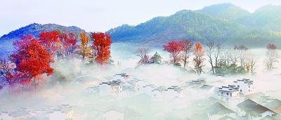 村在绿中 家在林中 人在画中