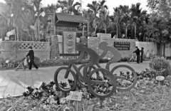 <b>海南北仍村：守望椰风里的南国乡愁</b>