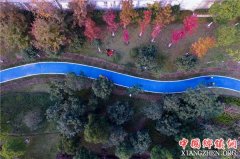 <b>浙江慈溪：“慢行绿道”助力绿色出行</b>
