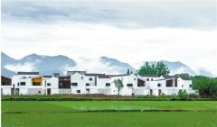 <b>陈锡文谈乡村振兴战略：小农户生产或还将长期存在</b>