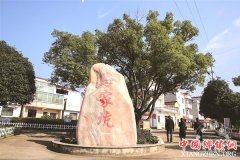 <b>崇仁镇马家坑村:打造美丽新农村“升级版”</b>