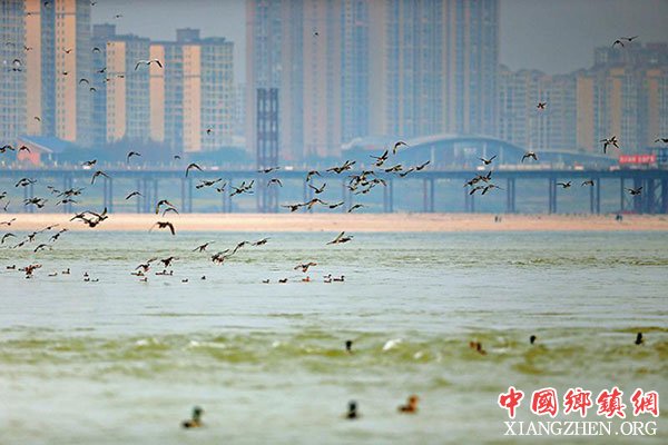 图片默认标题_fororder_2