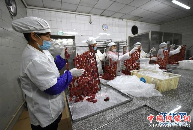 【焦点图】柳州:百香果变“百宝果” 撬动生态大产业 【焦点图】柳州:百香果变“百宝果” 撬动生态大产业