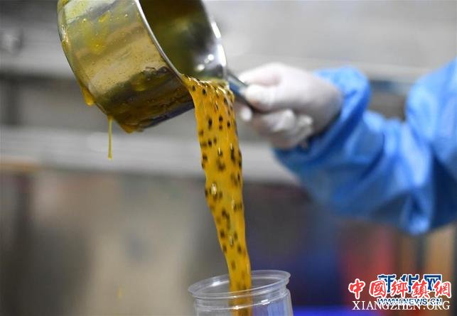 【焦点图】柳州:百香果变“百宝果” 撬动生态大产业 【焦点图】柳州:百香果变“百宝果” 撬动生态大产业