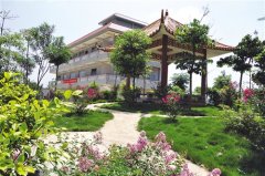 <b>广西：满城尽飘茉莉香 致富花开特色校椅镇</b>