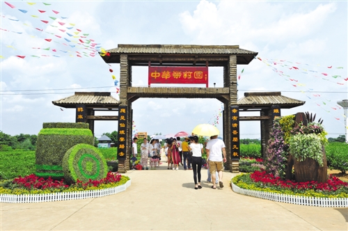 【金融投资-头图、文字列表】满城尽飘茉莉香 致富花开特色镇 【金融投资-头图、文字列表】满城尽飘茉莉香 致富花开特色镇