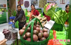 <b>广西举行“科普惠农兴村计划”成果交流活动</b>