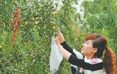 <b>郑州：农村产业一“融”俱荣 促农民增收</b>