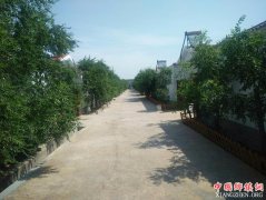 <b>宁夏灵武：“厕所革命”农村破冰</b>