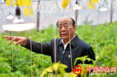 <b>王乐义：创新大棚提高蔬菜品质</b>