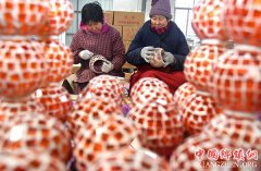 <b>山东沂源：“村企合作”助农民增收</b>