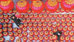 <b>乡村振兴战略：“三农”发展新蓝图</b>