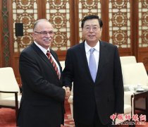 <b>张德江会见欧洲议会副议长帕帕迪莫里斯</b>