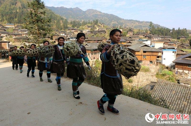 融水特色生态黑香猪养殖助农脱贫4