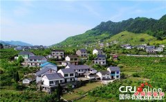 <b>重庆万盛青年镇：乡村振兴战略加快美丽乡村建设</b>