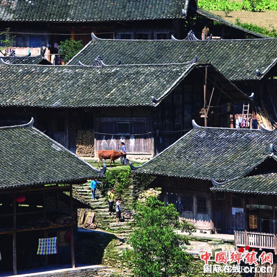 已过审【行游巴渝　标题摘要】年味渐浓 重庆推59条冬季醉美乡村精品线路