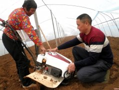 <b>山东郯城：农民吃下“定心丸”农资投入“底气足”</b>