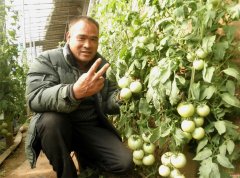 <b>山东郯城：菜农种苗选得好   产量收成定确保</b>