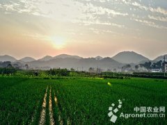 <b>为乡村振兴凝聚理论力量</b>