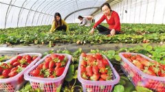 <b>农村新产业新业态获用地支持</b>