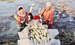 <b>农业部部长韩长赋：抓准农业转型升级关键词</b>