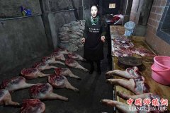 <b>云南：无量山火腿助山区农民增收致富</b>