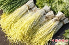 <b>河北：黄韭点亮脱贫致富梦 助力村民决胜小康</b>