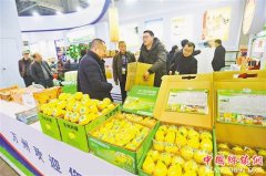 <b>西部农交会开幕 6500余种产品助您一站式购年货</b>