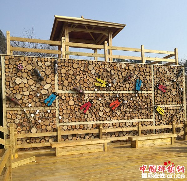 图片默认标题 图片默认标题_fororder_木制昆虫艺术作品(摄影-韩章尧)