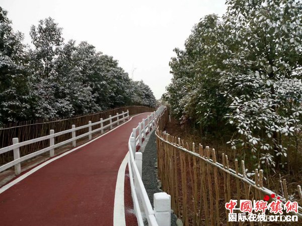 图片默认标题 图片默认标题_fororder_雪中的田园绿道(摄影-韩章尧)