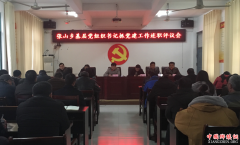 <b>安徽来安：张山乡召开基层党组织书记抓党建工作述职评议会</b>