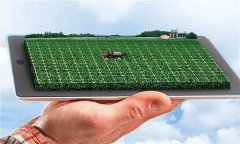 <b>福建：依托“数字农业”为健康加码</b>