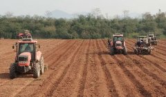 <b>广西宁明抓住农时加快甘蔗“双高”基地建设步伐</b>