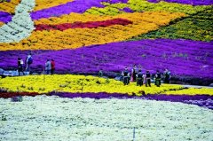 <b>麻江县推进“农文旅”融合发展</b>