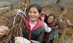 <b>贵阳：特色农业助农增收</b>