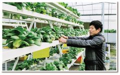 <b>31省区市两会陆续召开 “乡村振兴”成热议焦点</b>