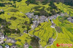 <b>云南师宗：油菜花开 扮美村落（组图）</b>