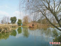 <b>走进四川“明星村” 看乡村振兴新思路新经验</b>