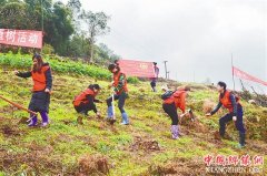 <b>重庆北碚区：义务植树促进创建国家森林城市</b>