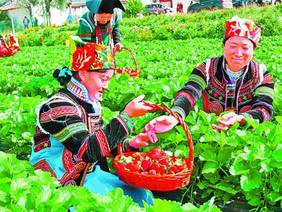 凉山深处新气象