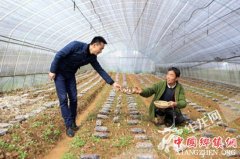 <b>陕西父子在重庆打造现代田园生活</b>