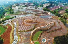 <b>四川：不胜不休 坚决打好精准脱贫攻坚战</b>